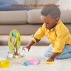 image:imageWoodtoe Montessori Toys for 3 4 5 Year Old Fall Acorn Harvest Tree ToyEaster Eggs Picking